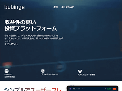 ブビンガバイナリーの業者情報